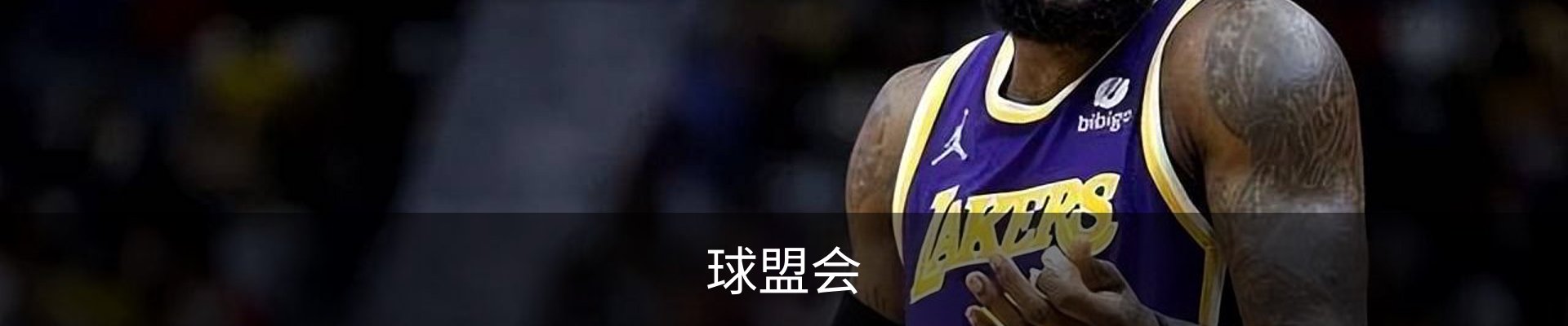 球盟会
